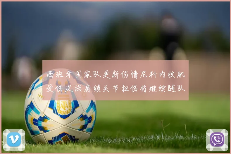 西班牙国家队更新伤情尼科内收肌受伤皮诺肩锁关节扭伤将继续随队训练